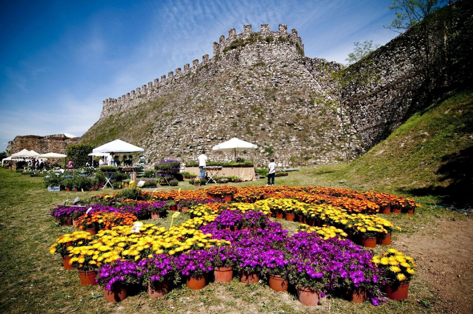 Dal 28 al 30 maggio torna FIORInellaROCCA – Mostra mercato di piante e fiori rari alla Rocca Visconteo Veneta di Lonato del Garda (BS)