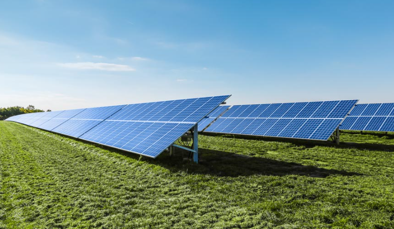 Il fotovoltaico dà buoni frutti: la perfetta sintonia tra coltivazione di frutti di bosco e produzione di energia fotovoltaica