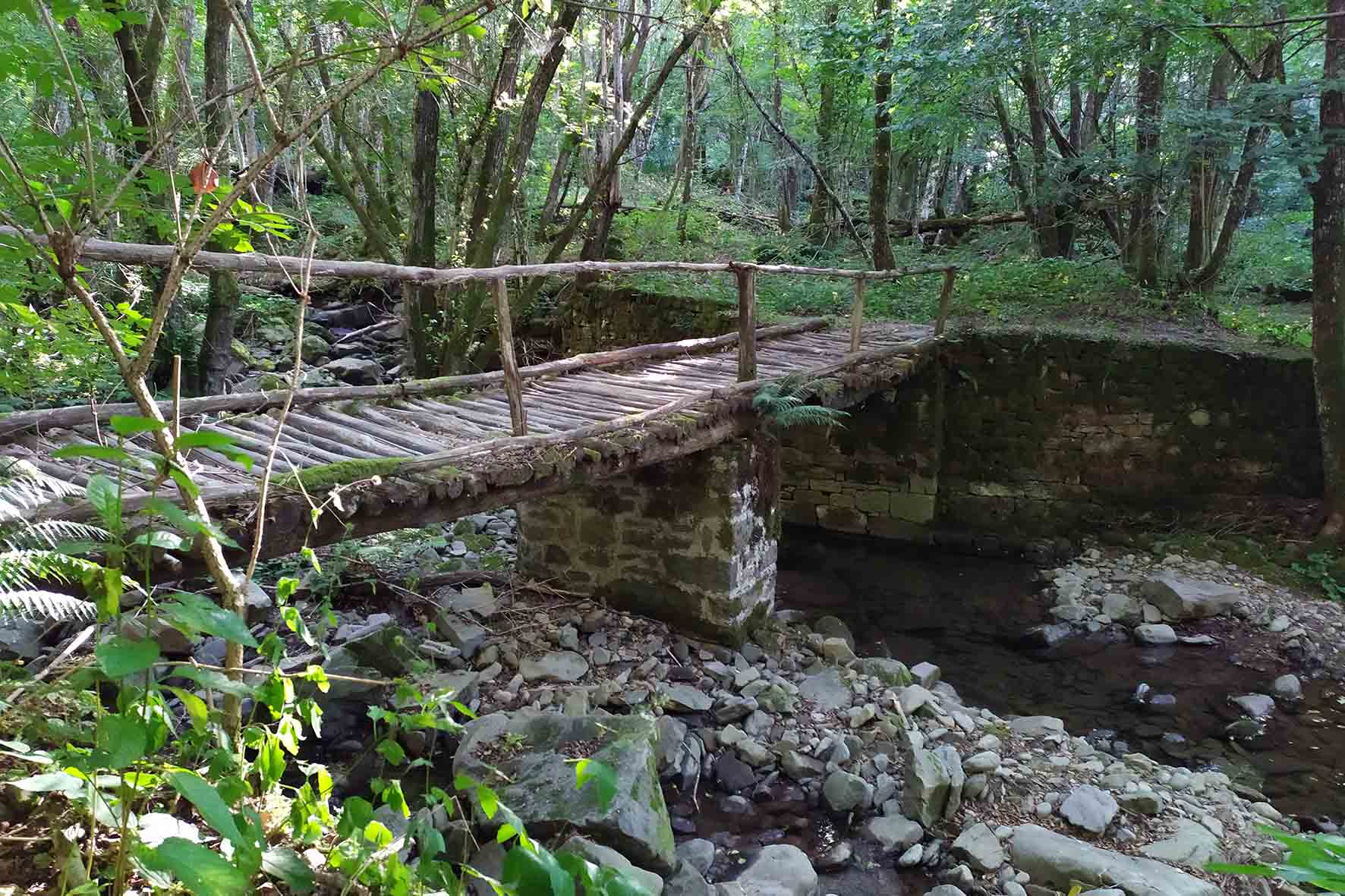 Una rubrica digitale per presentare le più belle camminate di Raggiolo 