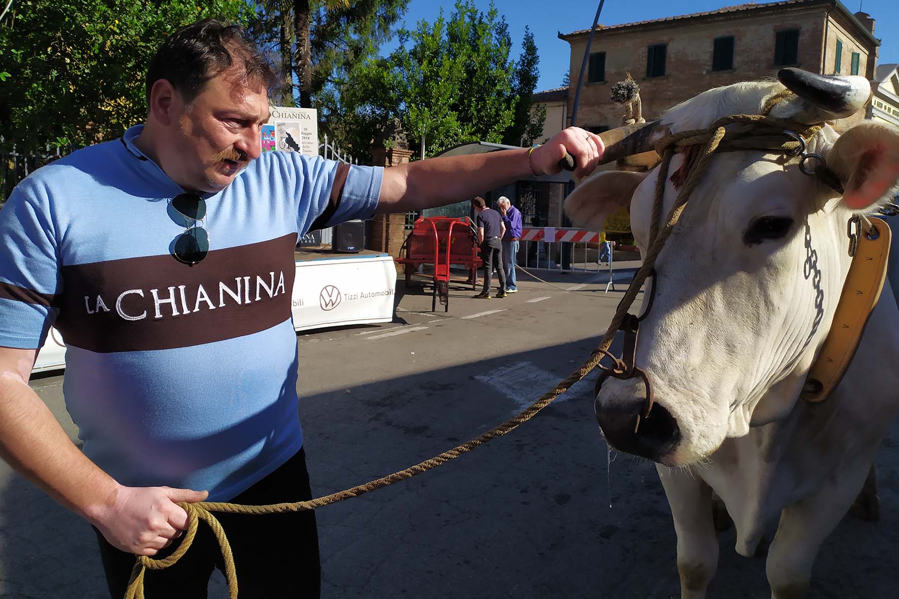 Ciclismo, cultura e tradizione: tutto pronto per La Chianina Ciclostorica