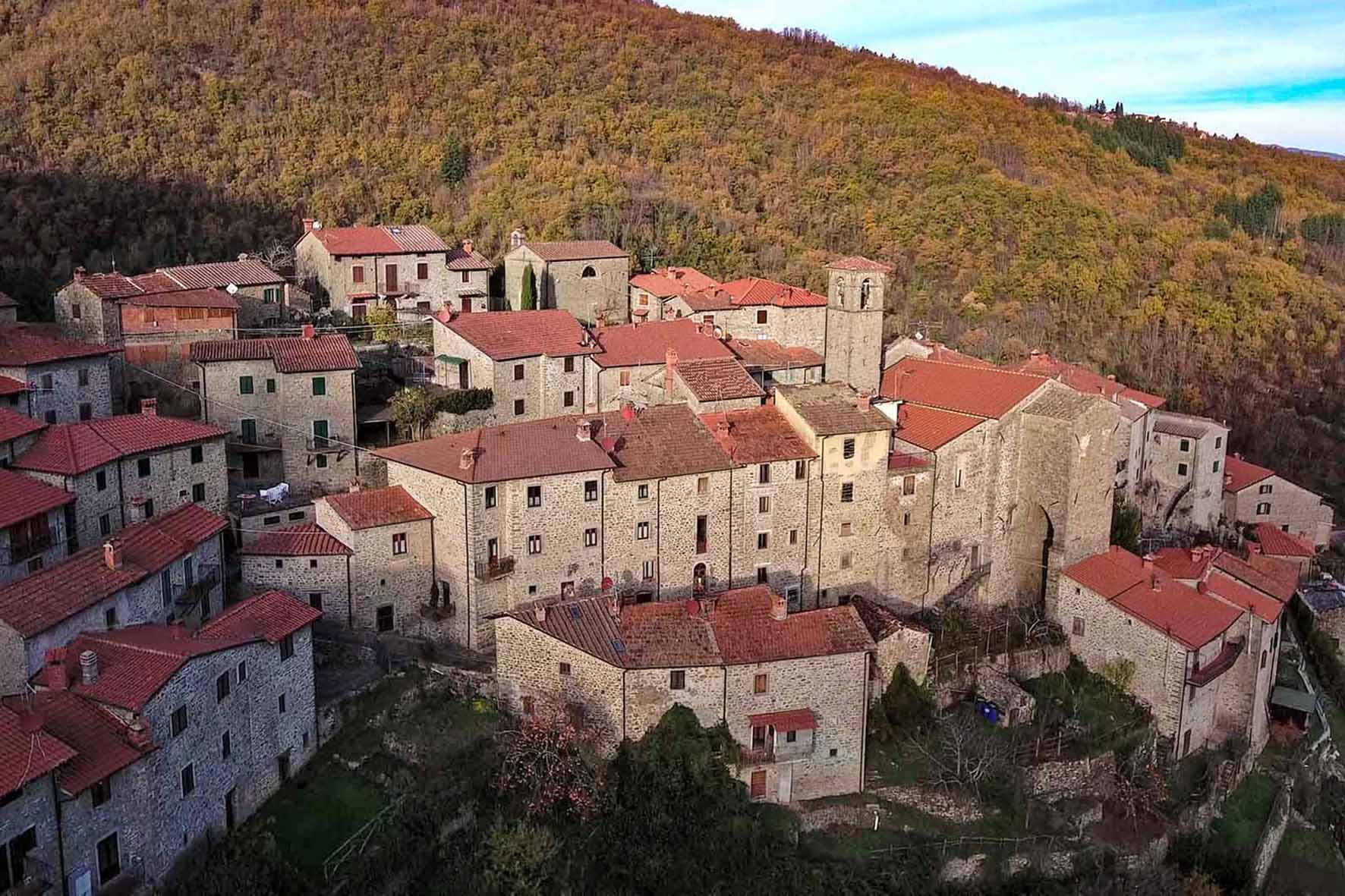 L’arte incontra la natura nel reading “Ogni albero è una poesia”