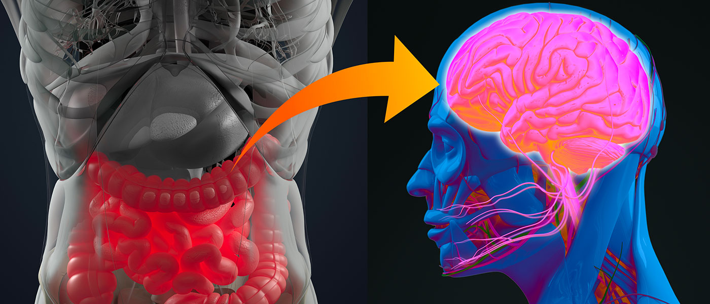 I problemi di salute mentale possono essere curati a partire dall'intestino