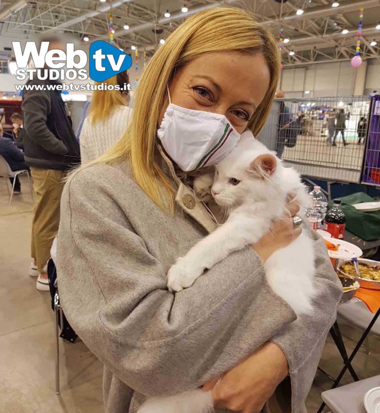 GIORGIA MELONI AL SUPERCAT SHOW Con i Gatti Rapporto Paritario