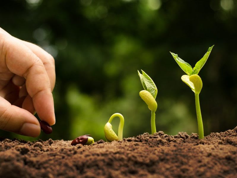 Agrigarden Group; giardinaggio e agricoltura tutto quello di cui hai bisogno