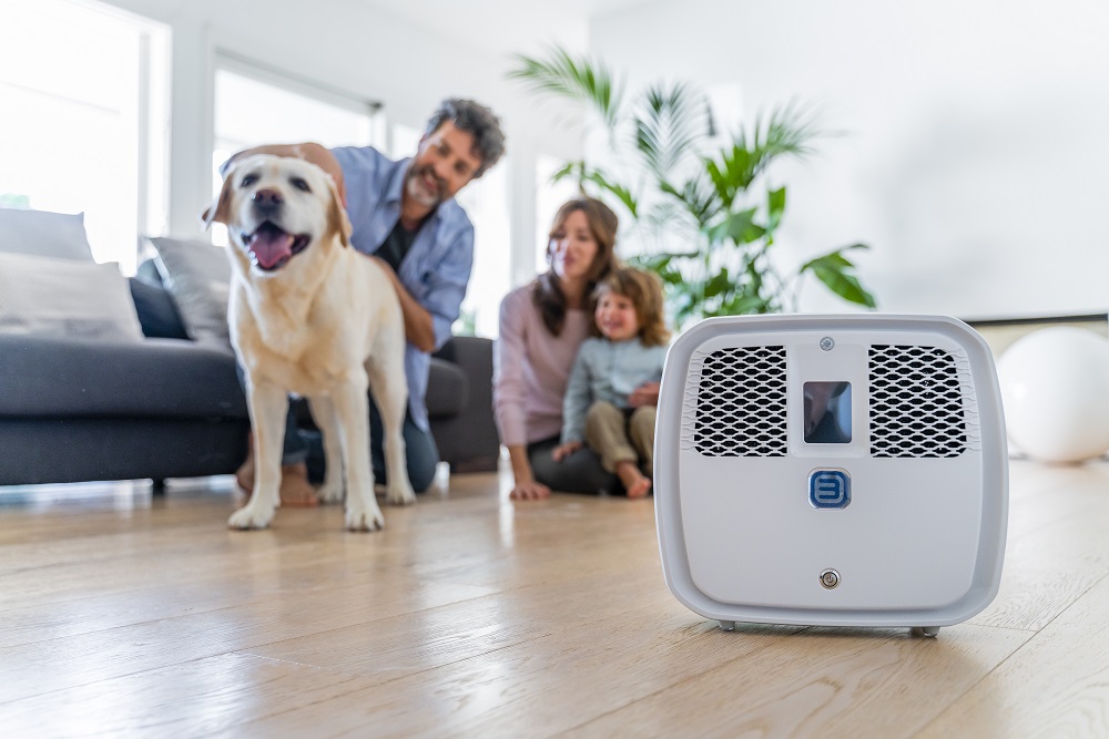 L’OZONO PER LA CURA DEGLI ANIMALI DOMESTICI, OZOBOX E’ LA RIVOLUZIONE