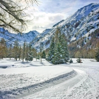 Cogne lavora con convinzione per dar vita alla 38ª edizione della Marciagranparadiso