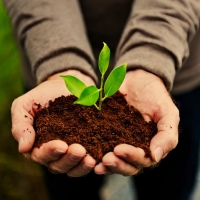 Come produrre compost in maniera facile con il Biotrituratore