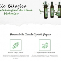 I benefici dell’olio extravergine di oliva biologico siciliano