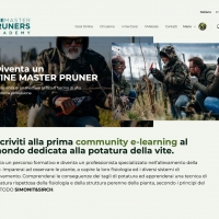 VINE MASTER PRUNERS Academy – SIMONIT&SIRCH lanciano la prima piattaforma on-line al mondo dedicata alla formazione sulla potatura della vite