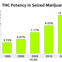 La marijuana di oggi è più potente e i rischi sono più alti