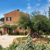 Primavera fra le vigne al Podere Casanova di Montepulciano. Rilassanti vacanze nella campagna toscana, lontano dalla folla.