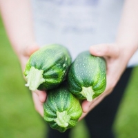 5 idee per ricette con contorno a base di zucchine