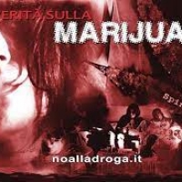 Dati reali sulla marijuana nella giornata mondiale della salute