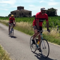 “Chianina Cycle Maps”, una guida per scoprire la Valdichiana sui pedali