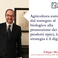 Agricoltura Europea: dal sostegno al biologico alla promozione dei prodotti tipici, la strategia è il digitale