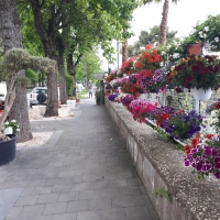 Via Petrarca il giardino di Napoli