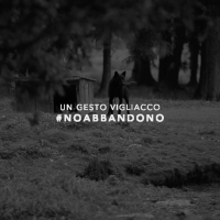 CORTOMETRAGGIO: UN GESTO VIGLIACCO  #NOABBANDONO