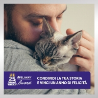 Feliway, 25 anni di feromoni per la serenità dei gatti 