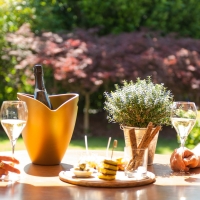 Cantine di Franciacorta - In un unico Wine Store tutti i produttori franciacortini - 1200 etichette per brindare all'estate