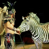 A San Benedetto del Tronto lo strepitoso show del Maya Orfei Circo Madagascar