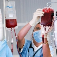 Emergenza sangue in Italia: l'appello dei medici alla donazione