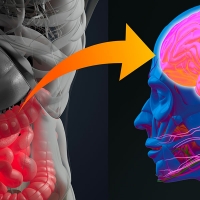 I problemi di salute mentale possono essere curati a partire dall'intestino