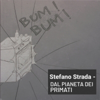 Dal pianeta dei primati: il nuovo singolo di Stefano conquista le radio europee