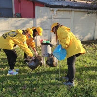 Pulizie aree verdi di Marotta: raccolti diversi chili di plastica e rifiuti abbandonati