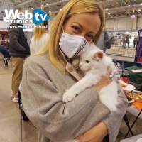 GIORGIA MELONI AL SUPERCAT SHOW Con i Gatti Rapporto Paritario