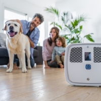 L’OZONO PER LA CURA DEGLI ANIMALI DOMESTICI, OZOBOX E’ LA RIVOLUZIONE