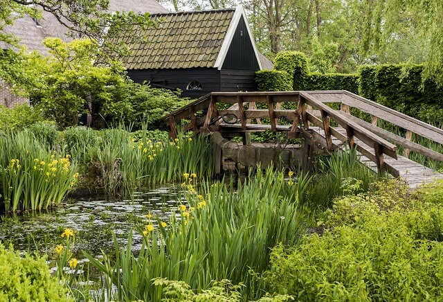 Olanda - Giethoorn, villaggio ideale per vacanze in famiglia e in coppia