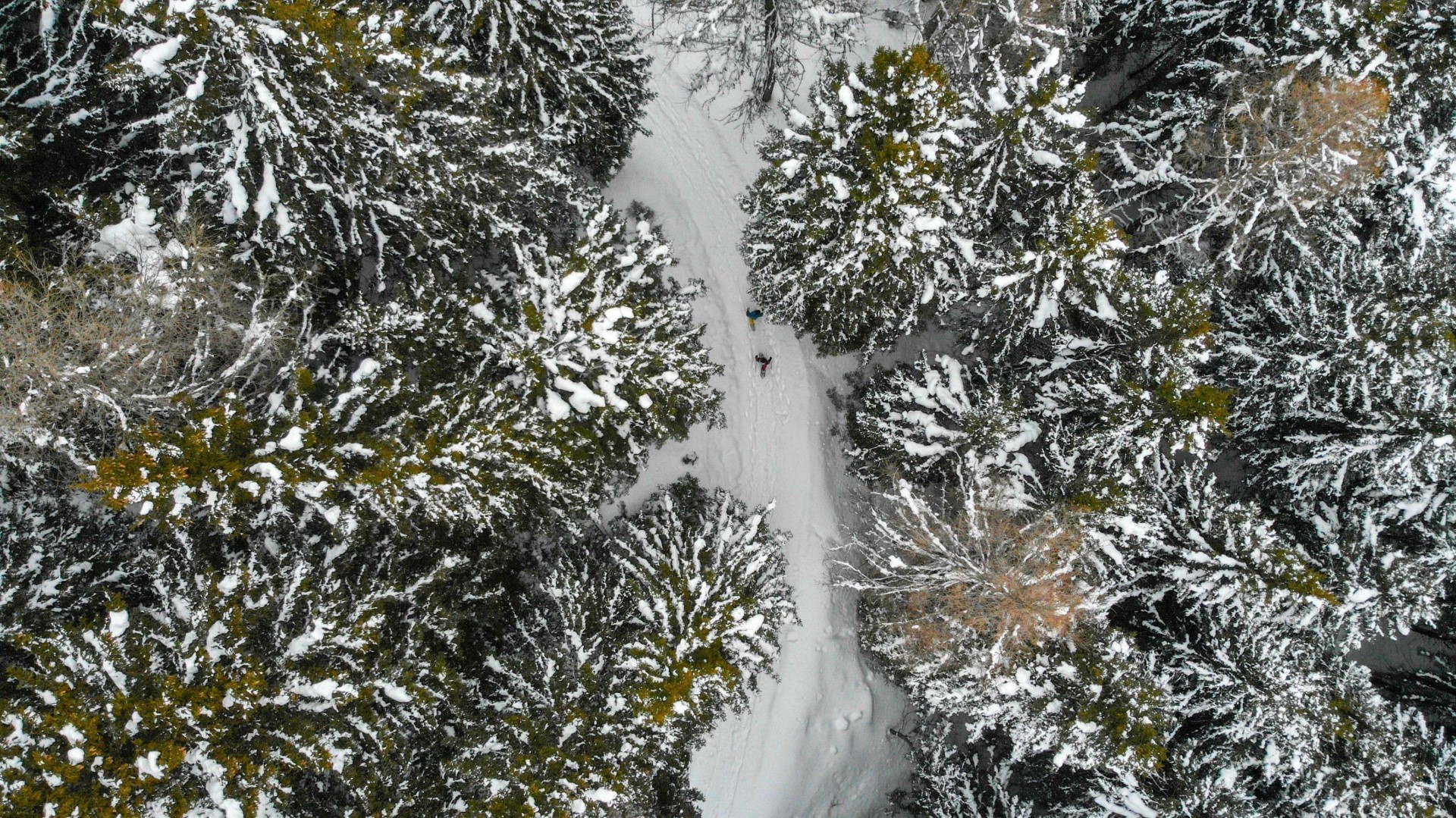 Slow o adrenaliniche? Le esperienze sulla neve da vivere sulle montagne bresciane