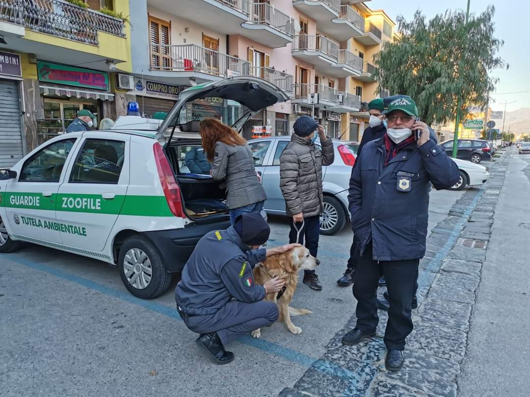 -Qualiano, Corso di aggiornamento per Guardie Zoofile AISA.  (Scritto da Antonio Castaldo)