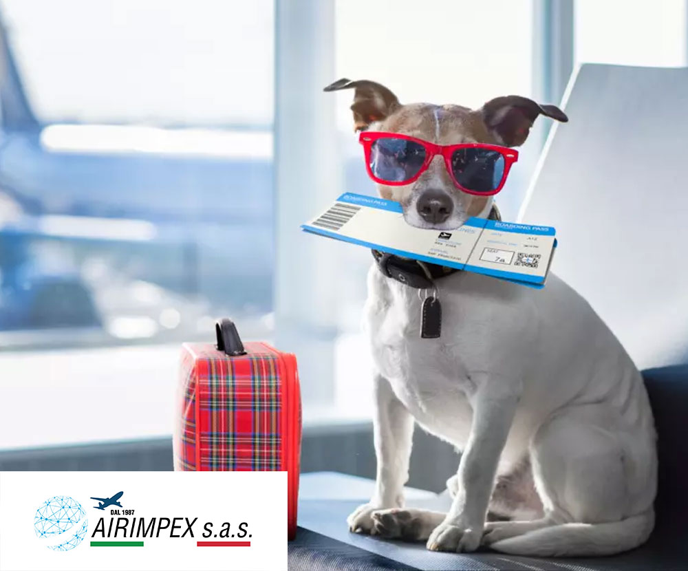 Trasporto Aereo  Animali Domestici AIRIMPEX sas