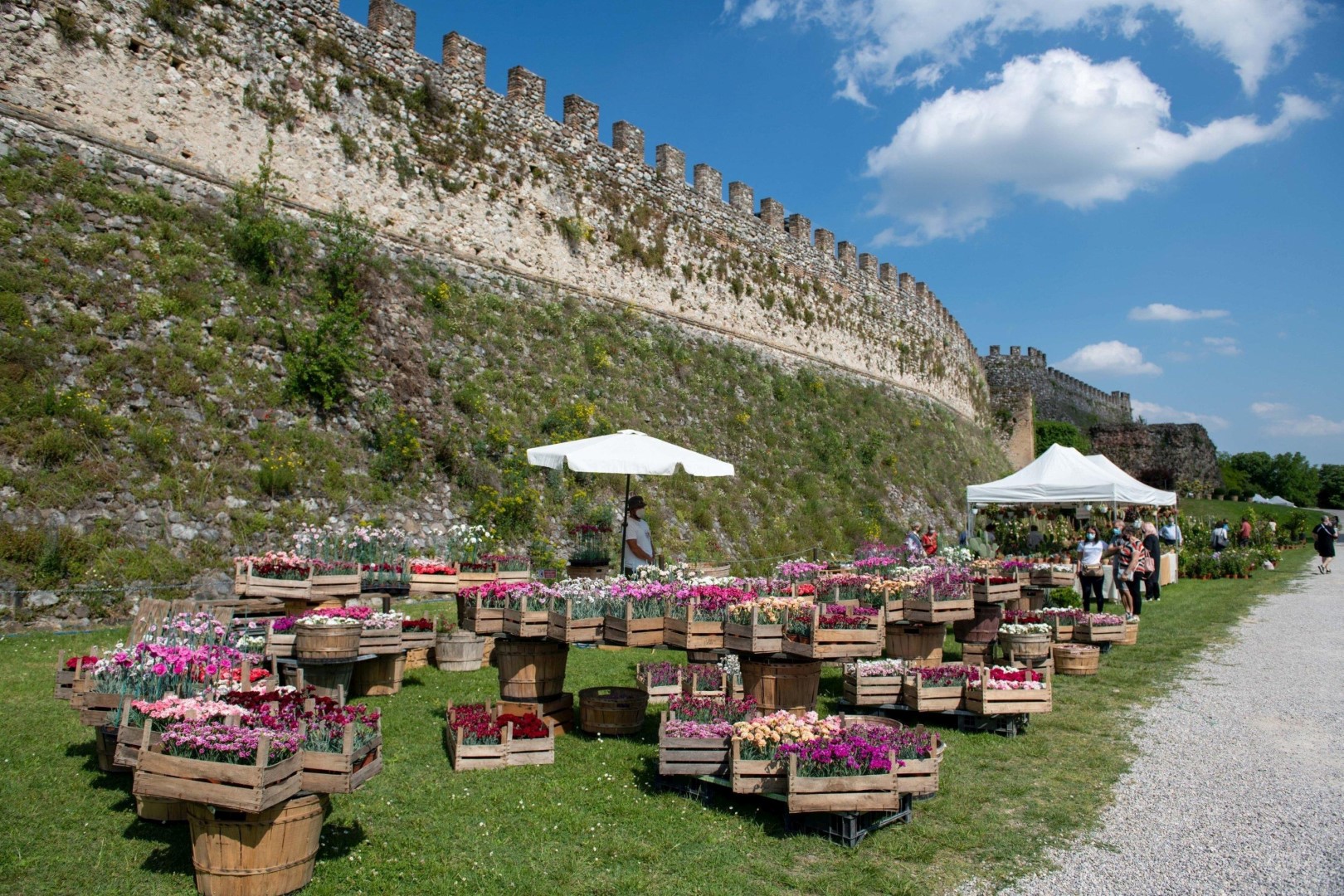 Dall'8 al 10 aprile XIV Edizione di FIORInellaROCCA – Mostra mercato di piante rare alla Rocca Visconteo Veneta di Lonato del Garda (BS)