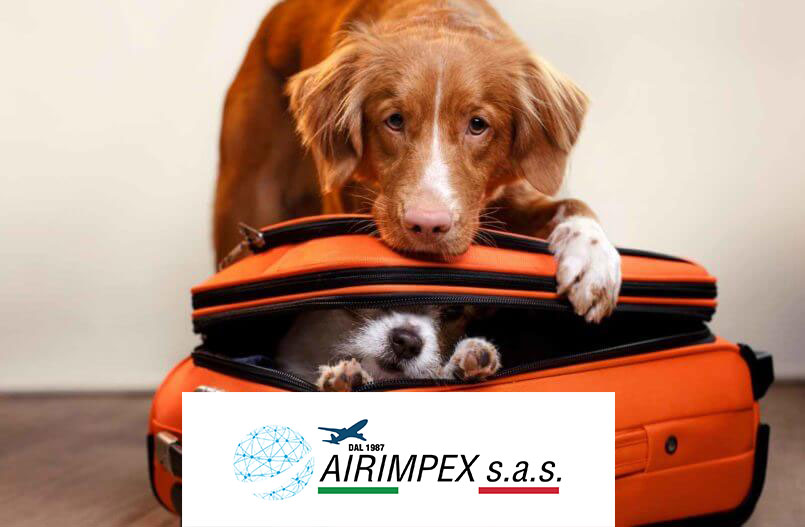 Trasporto Aereo Animali Vivi AIRIMPEX