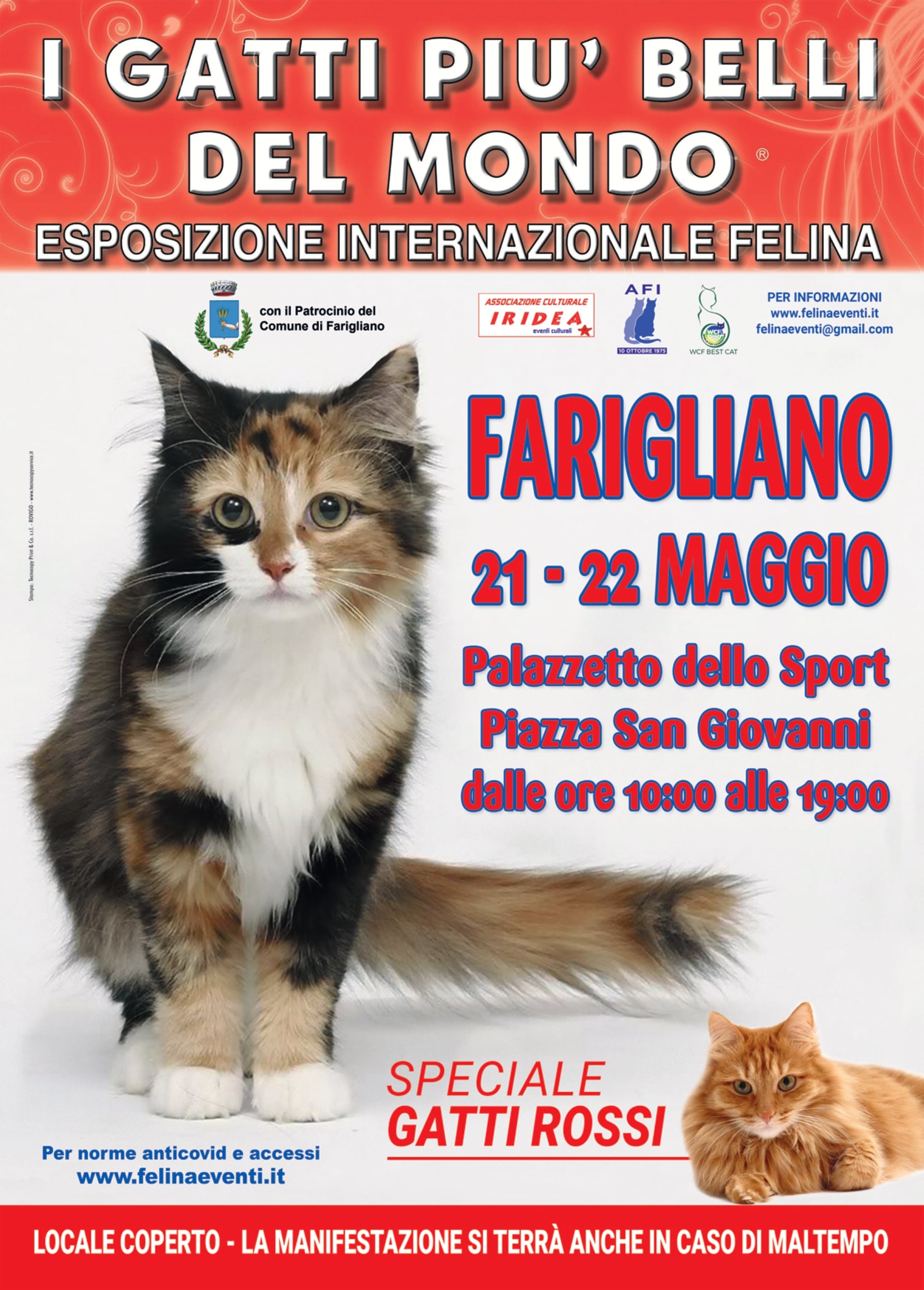 I GATTI PIU' BELLI DEL MONDO arrivano a FARIGLIANO (Cuneo)