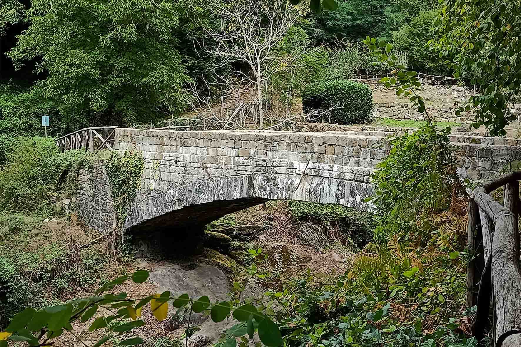 “Sulla via di Dante”, una camminata sul sentiero medievale di Raggiolo 