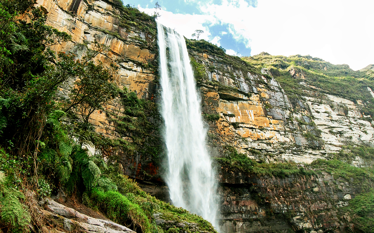 Amazonas: 5 incredibili attrazioni turistiche nella regione più verde del Perù 