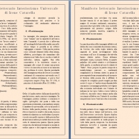 Interiorismo Universale, il movimento letterario fondato dalla poetessa Irene Catarella   