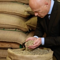 DALL’IMPENNATA DELL’IMPORT ALLA SPECULAZIONE FINANZIARIA: LE CAUSE DELL’AUMENTO DEL COSTO DEL CAFFÈ VERDE E LE REAZIONI DEL COMPARTO