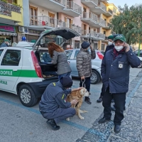 -Qualiano, Corso di aggiornamento per Guardie Zoofile AISA.  (Scritto da Antonio Castaldo)