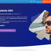 Cosa fa un consulente seo