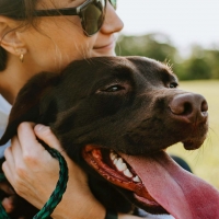 CANI, AL VIA PRIMA FIERA-FESTIVAL ITALIANA 