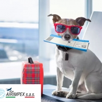 Trasporto Aereo  Animali Domestici AIRIMPEX sas