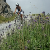 VERSO L'8 MARZO. LE DONNE SCELGONO LE VACANZE IN MOUTAIN BIKE