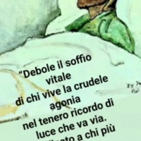 Raccolta di alcune Poesie di Stefano Ligorio.