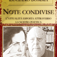 NOTE CONDIVISE, nuovo progetto editoriale realizzato da GIOIA LOMASTI in collaborazione con LUCIANO SOMMA. Raccontarsi e raccontare attraverso la scrittura - Nota di Salvatore Gurrado (poeta e filosofo)