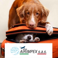 Trasporto aereo animali vivi AIRIMPEX  a Fiumicino