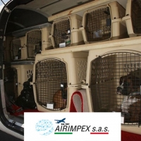 Spedizioni aeree animali domestici AIRIMPEX